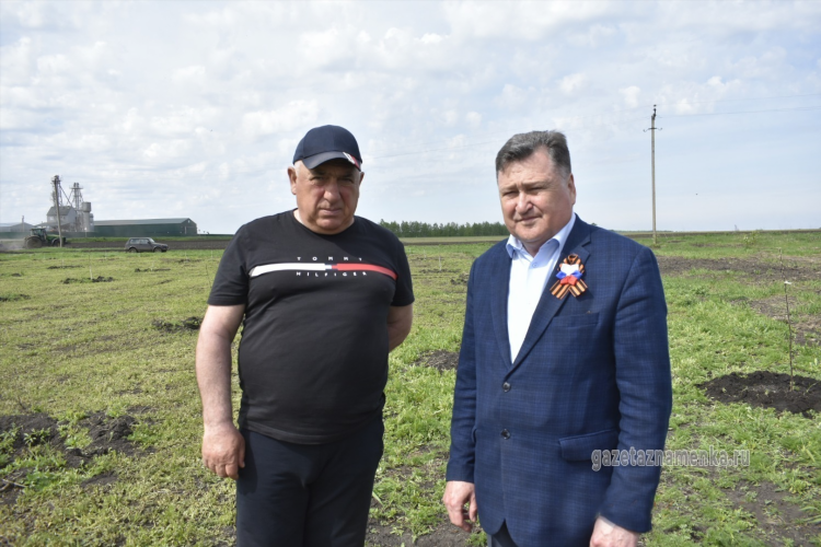 Армяне в калининграде