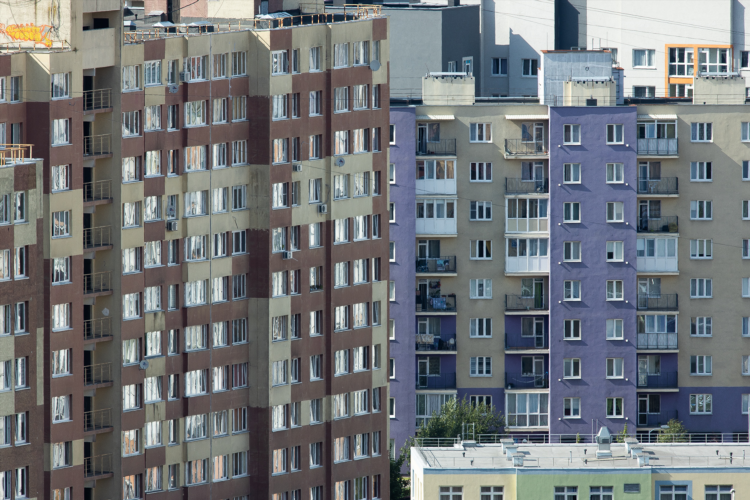 Авито калининград квартира купить