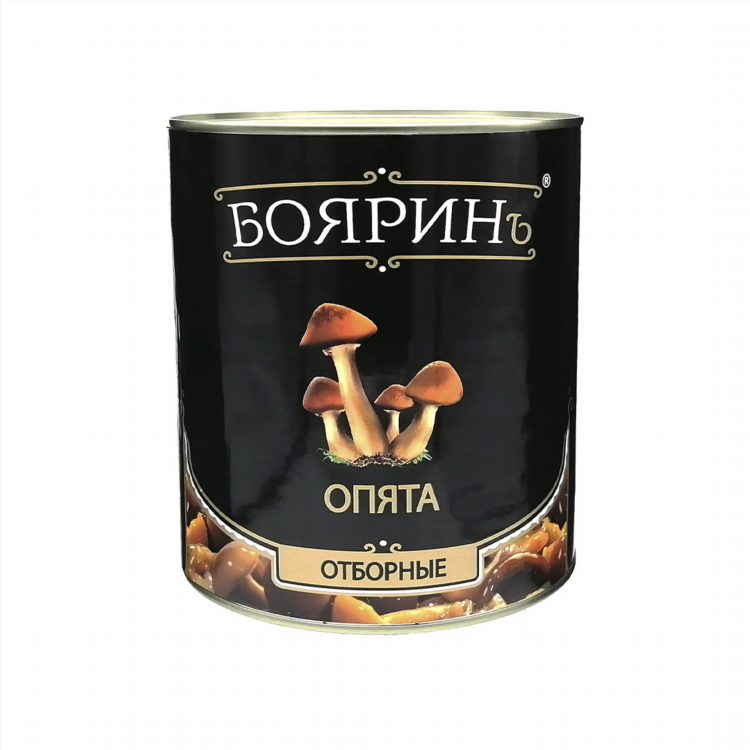Грибов калининград