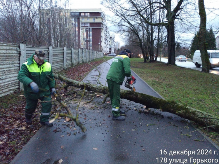 Калининград теплосети
