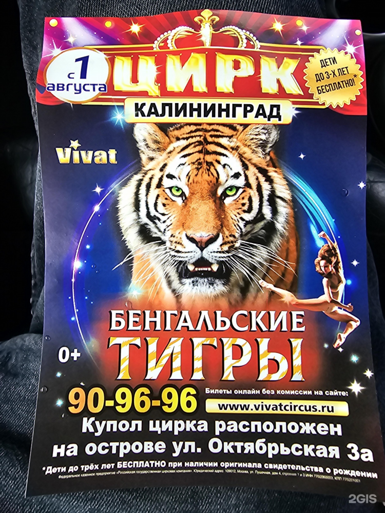 Калининград цирк