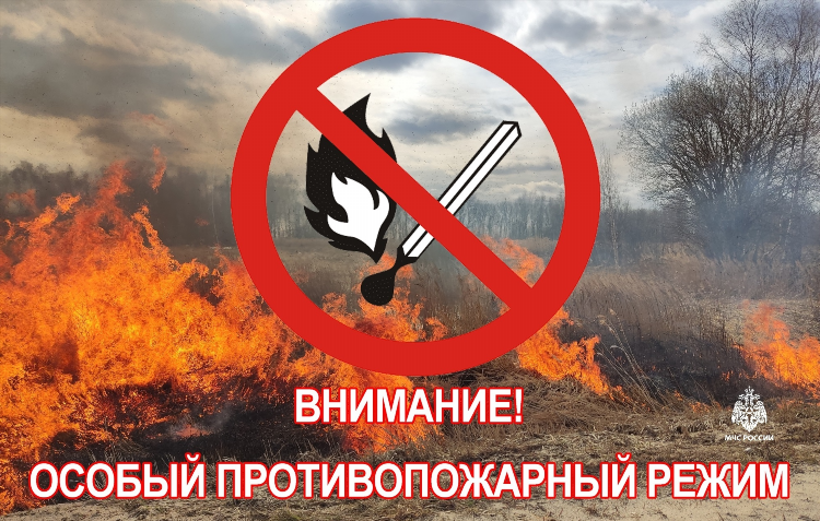 Новости калининграда сегодня последние свежие