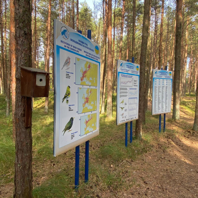 Орнитологическая станция калининград официальный сайт