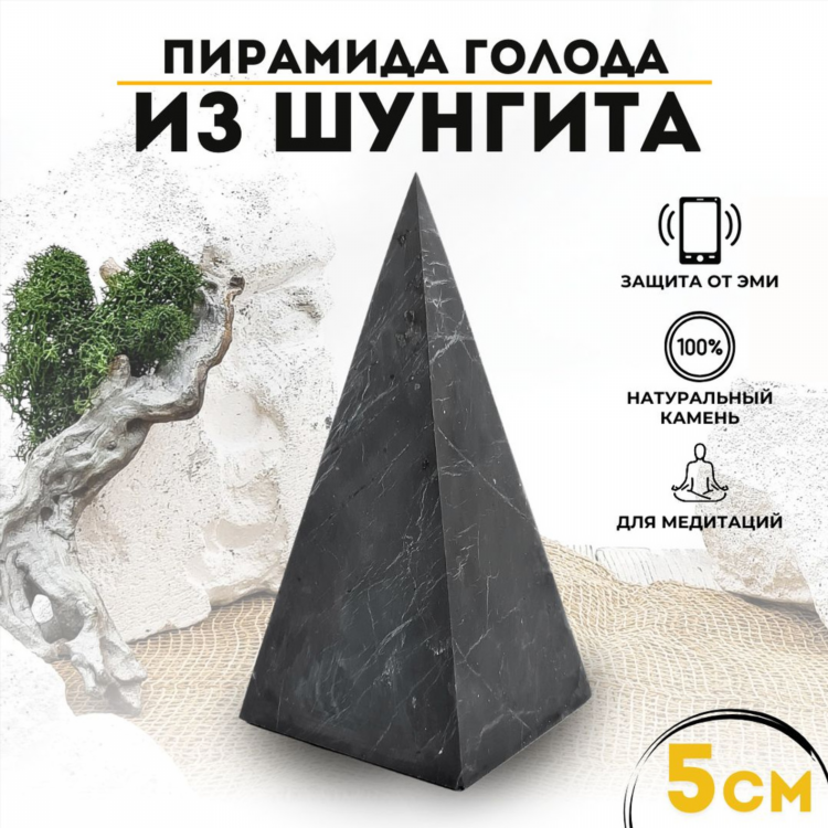 Пирамида калининград билеты официальный сайт