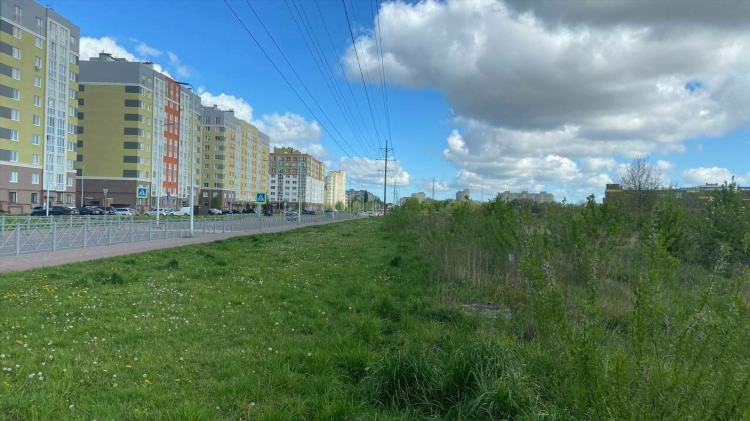 Поликлиника на московском проспекте калининград