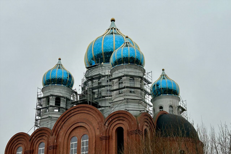 Район сельма калининград