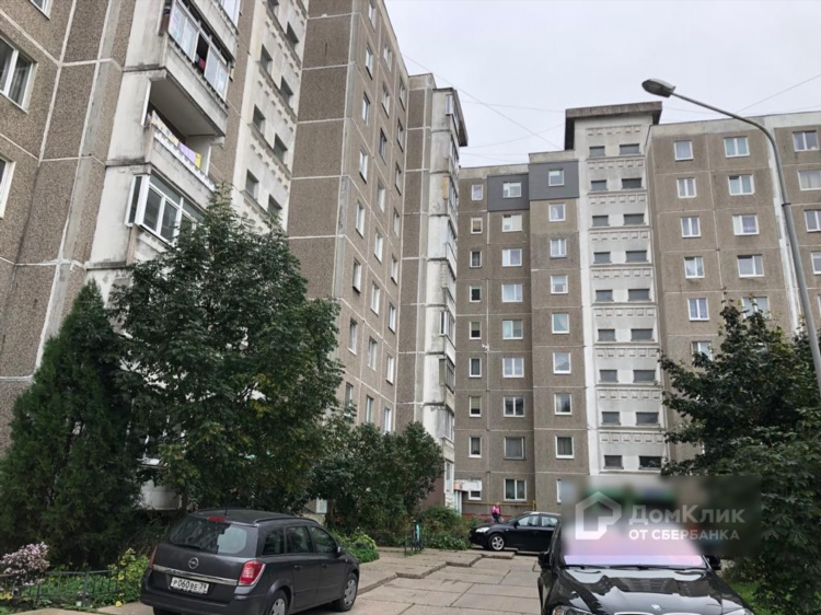 Суши на сельме калининград