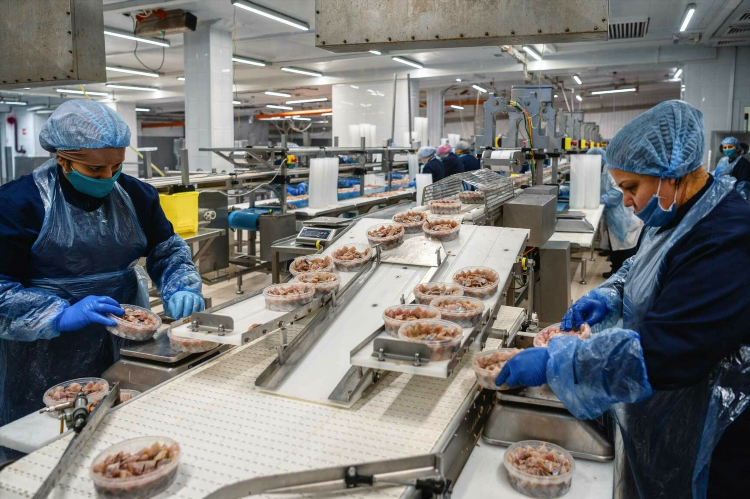 Туроператор балтийский берег официальный сайт калининград